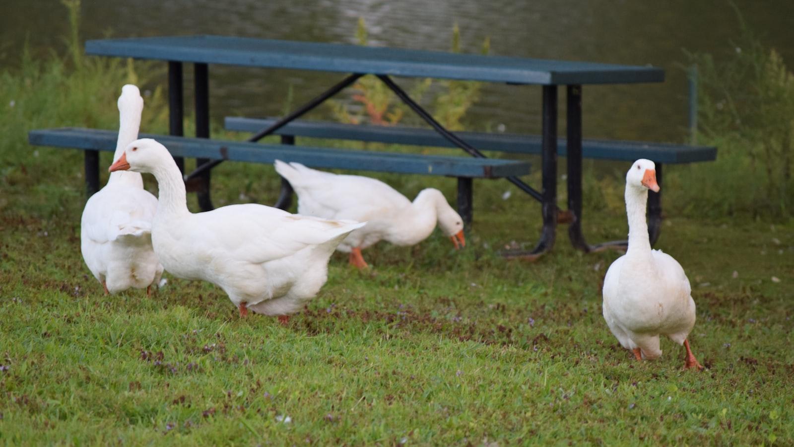 Tienda De Fútbol En Madrid