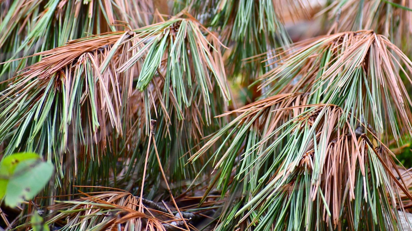 Mansiones En Venta En Madrid