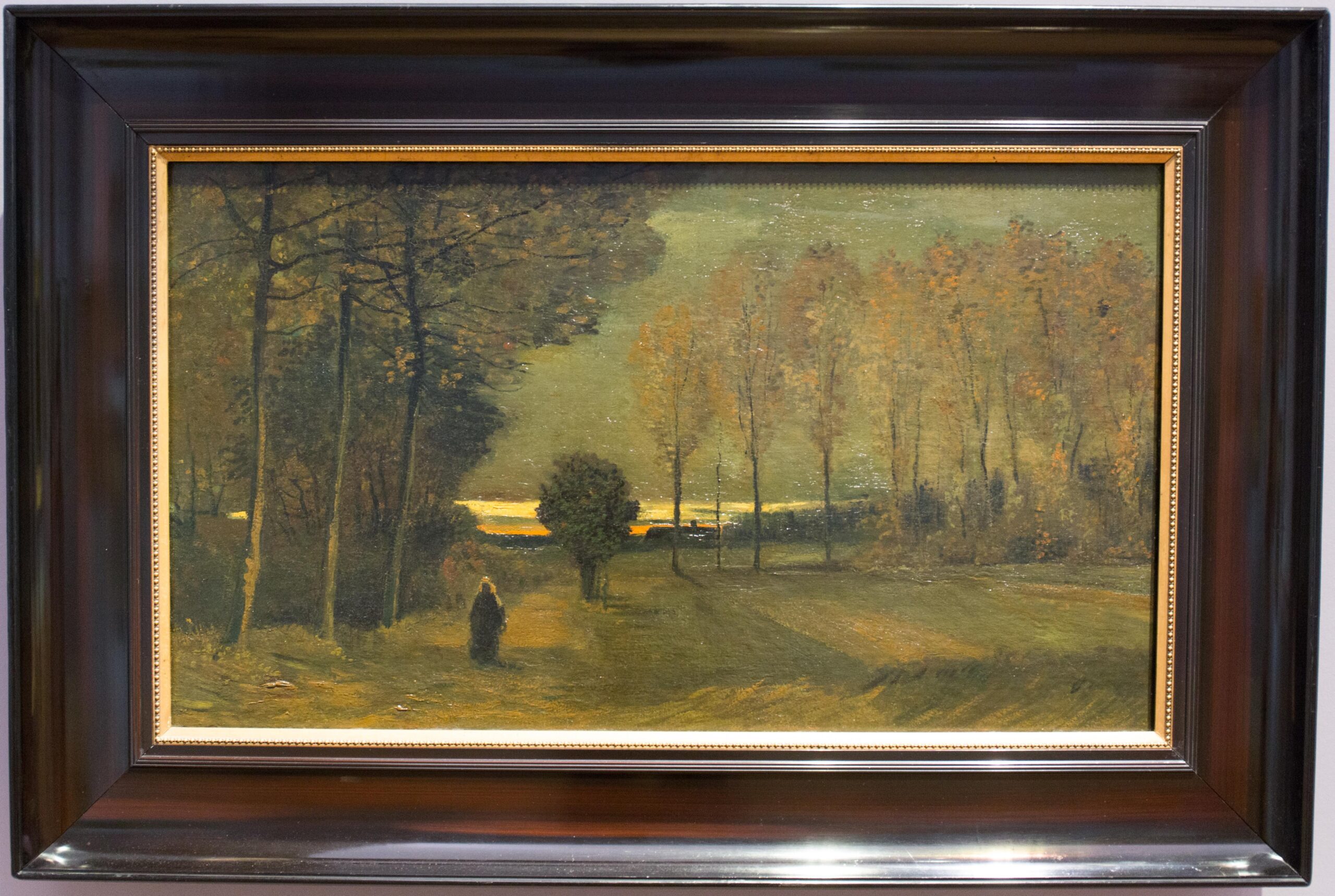 Van Gogh En Madrid 2023