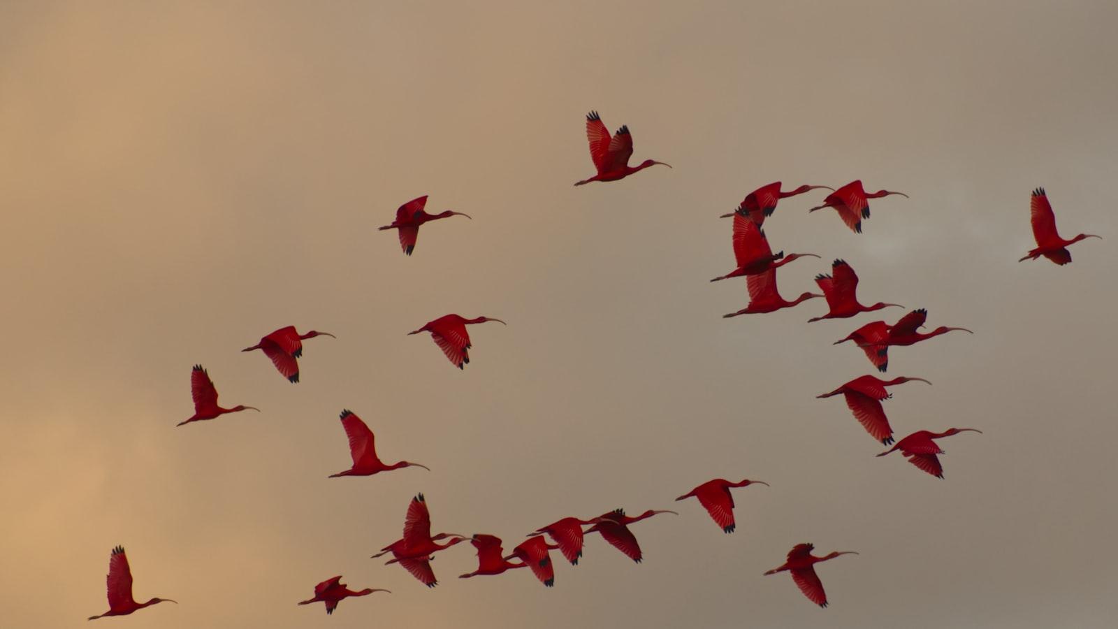 Hoteles Ibis En Madrid Baratos