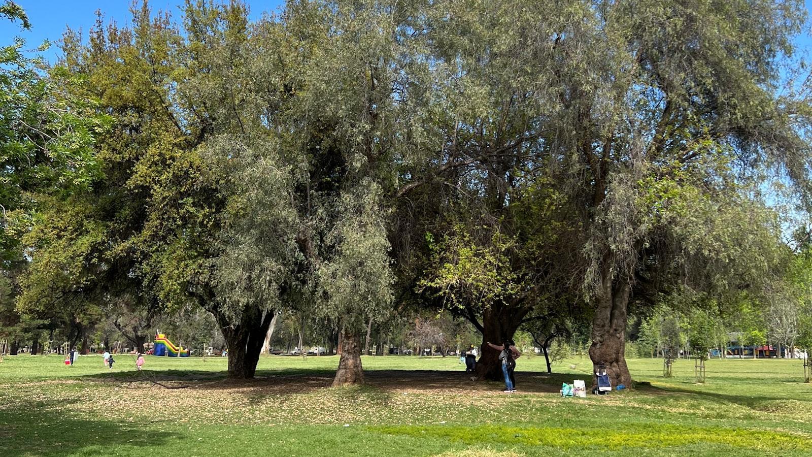Parques Para Visitar En Madrid