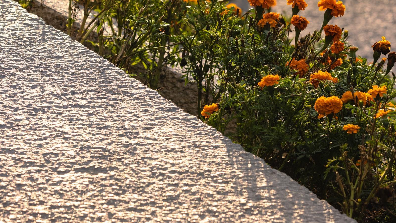 Calle Arturo Soria En Madrid