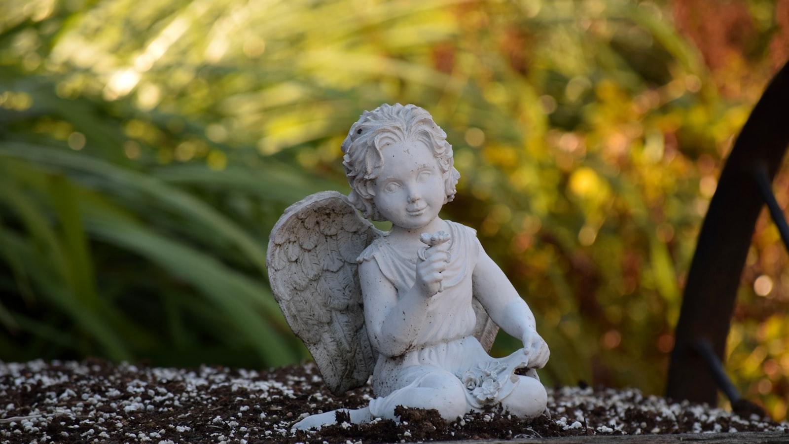 Tiendas De Instrumentos En Madrid