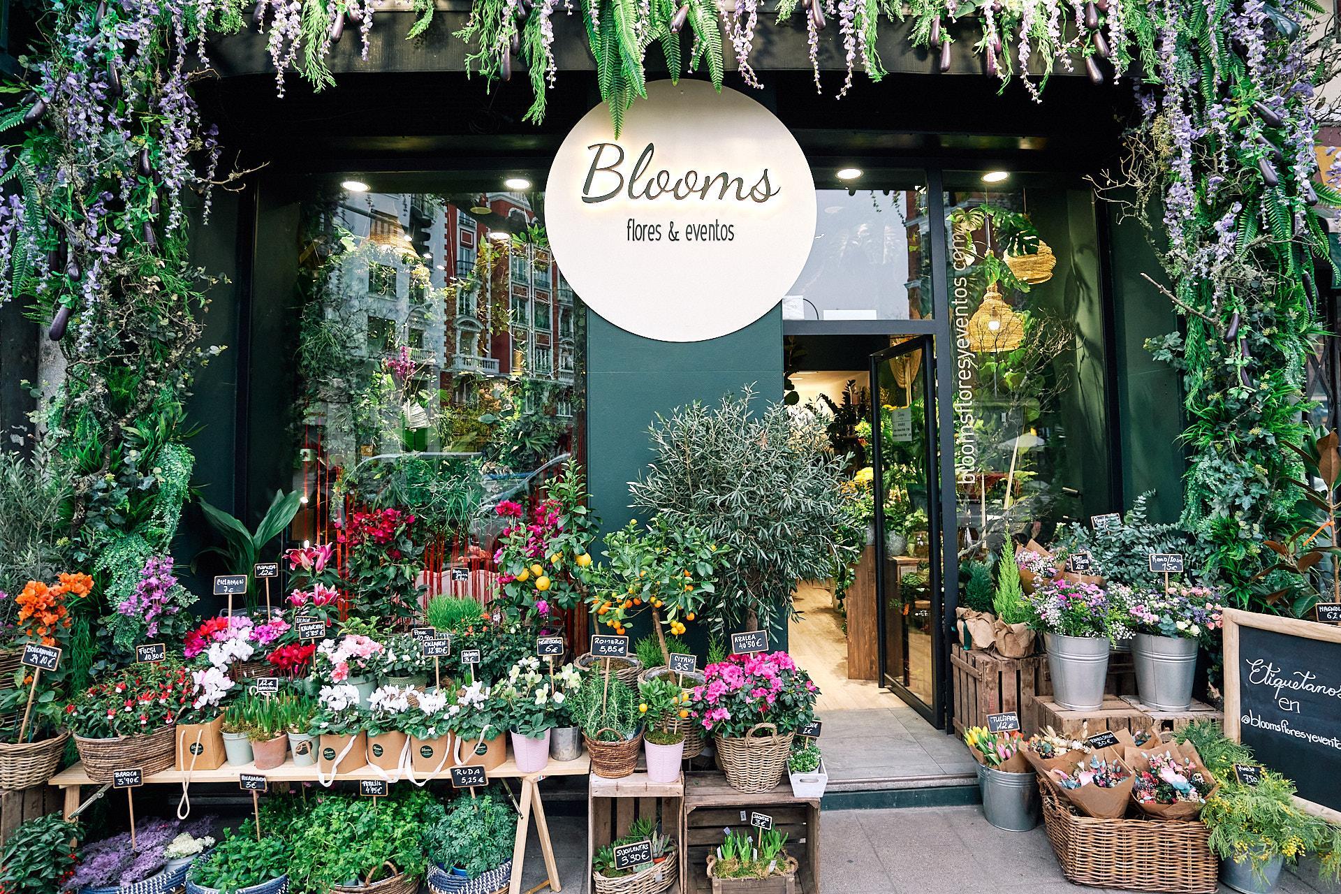 Floristerias En Madrid Barrio Salamanca