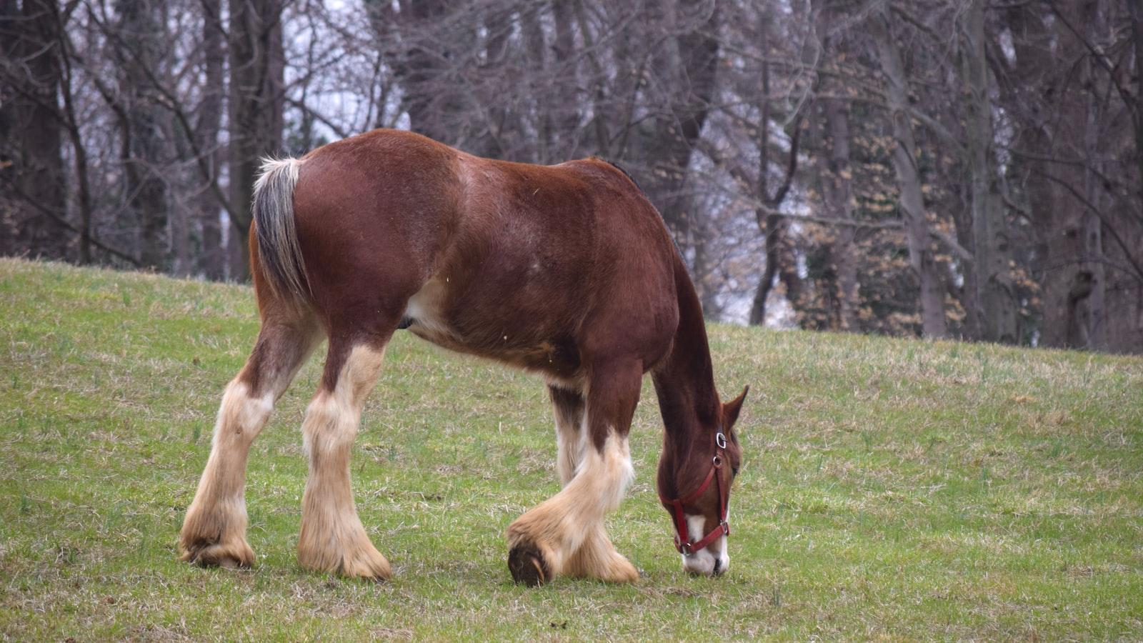 Numero Para Cita De Asilo En Madrid