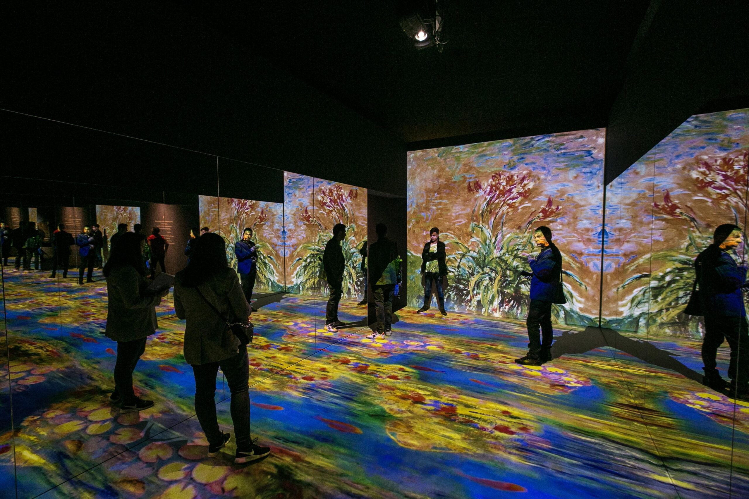 Exposicion De Monet En Madrid