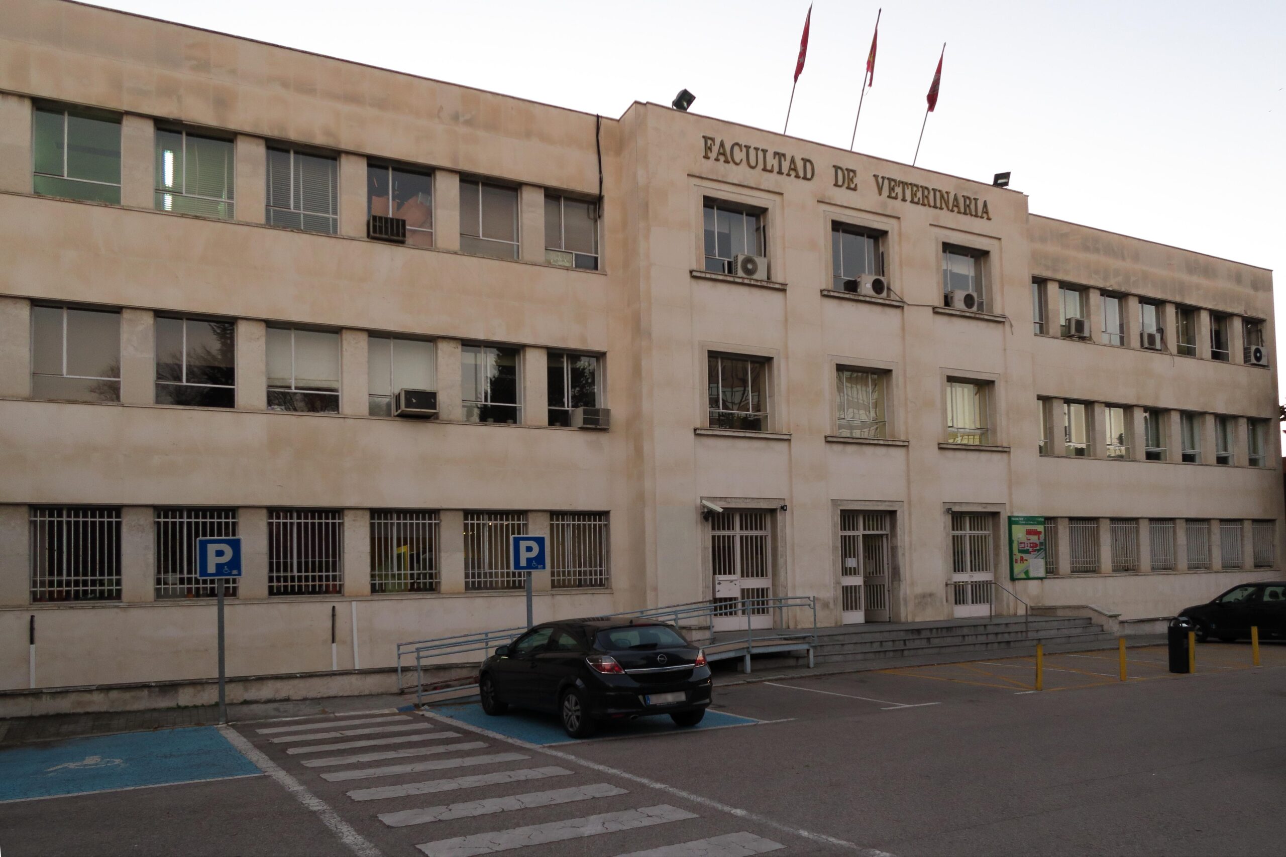Universidad De Veterinaria En Madrid